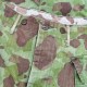 Pantalon HBT Camouflage US Army Réversible – Bataille de Normandie original