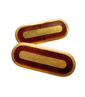 Paire d'insignes de grade Chief Warrant