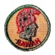 Patch Central Pacific Base Command (Hawaii) – Gaze Back – WWII