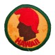 Hawai patch WW2