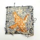 Patch 2nd Air Force WWII