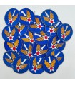 Patch 1st AAF (US ARMY AIR FORCE) WWII