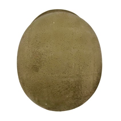 Coque type M1 pattes mobiles