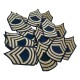 Paires de grades de master sergent